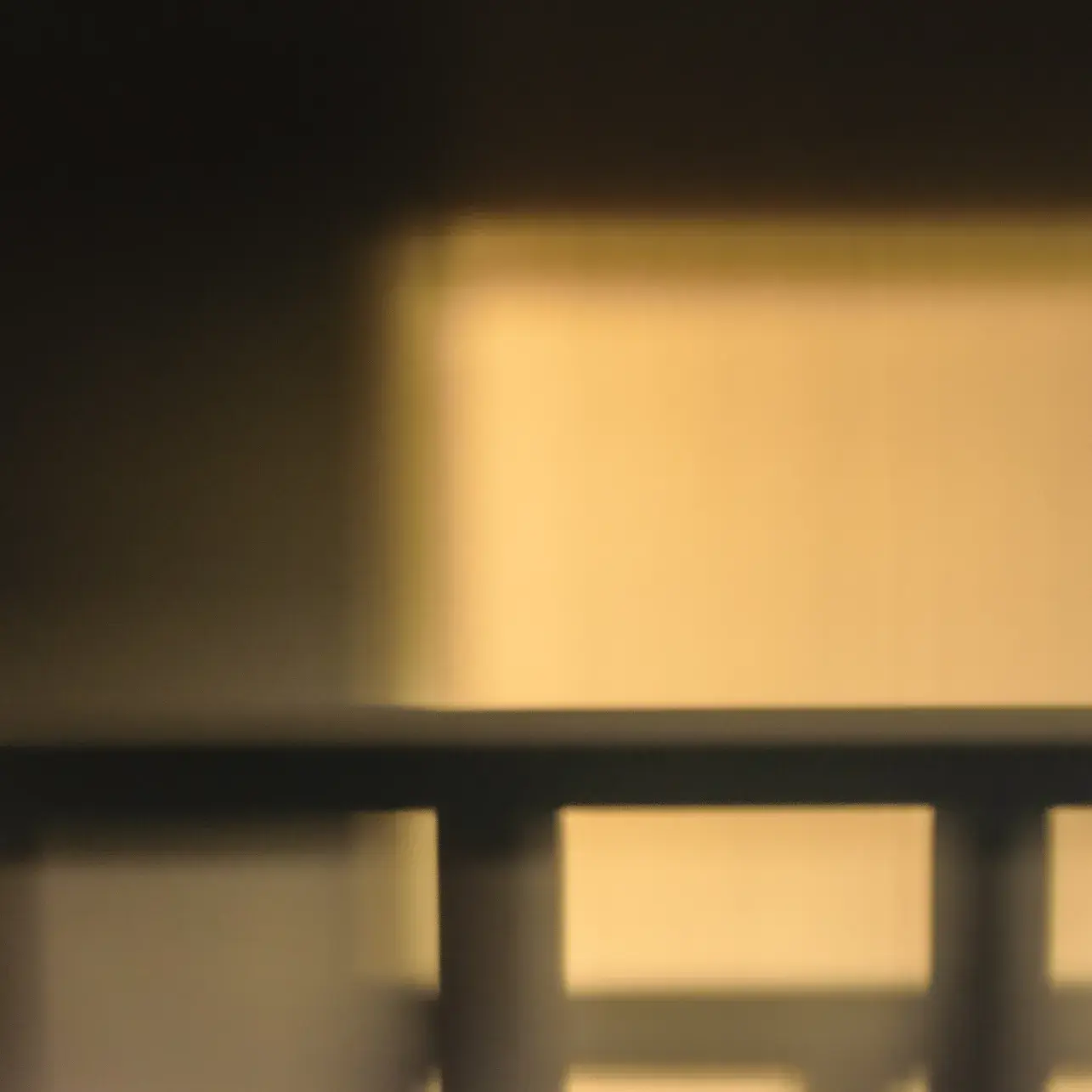 Photo Utsuroi Untitled #22/9529