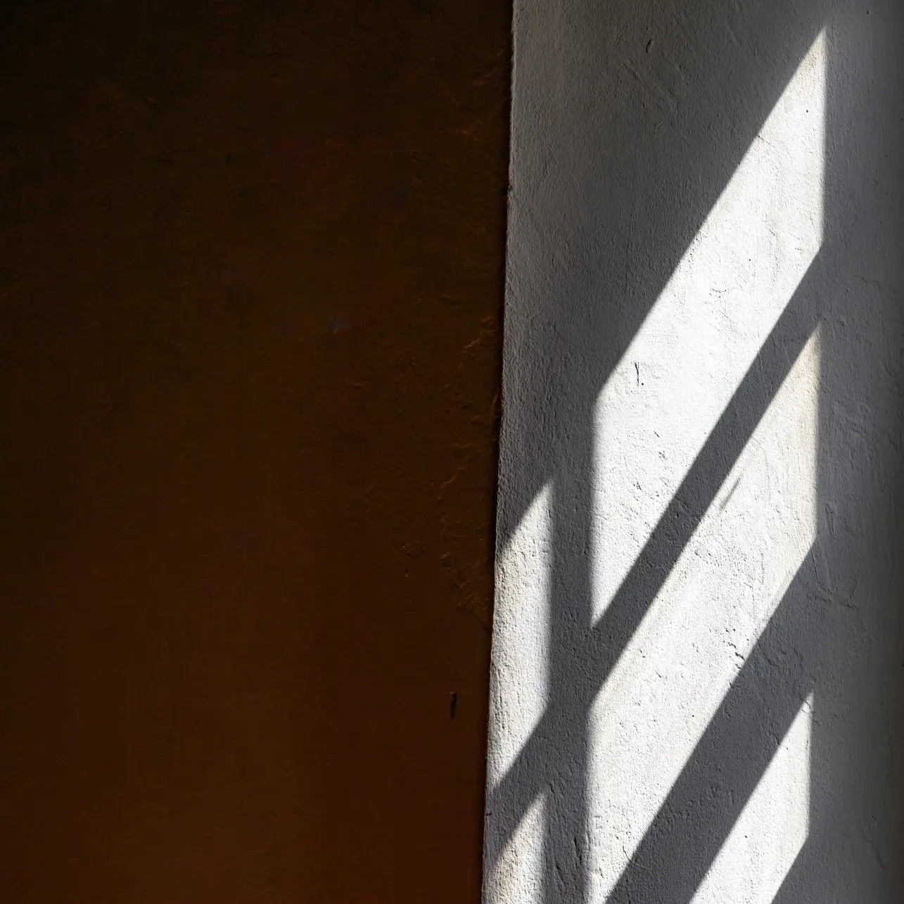 Photo Utsuroi Untitled #24/5494